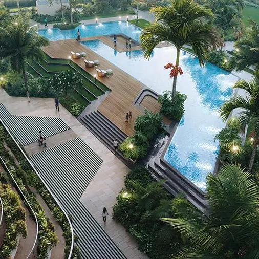 The swimming pool with a timber deck and loungers among palms